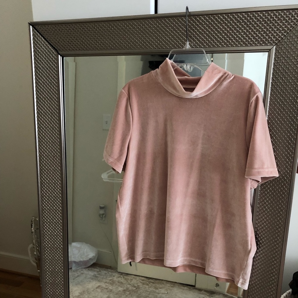 Velvet Madewell top, NEW WITH TAGS!